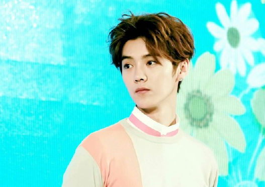 隐婚L姓小鲜肉是鹿晗吗 鹿晗计划27岁结婚爸妈着急抱孙