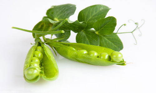 豌豆的营养和价值1.jpg