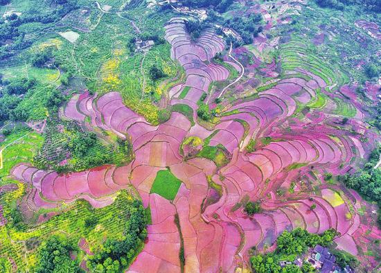 Ĺ㰲ˮӰӴﾰۡ   㡡