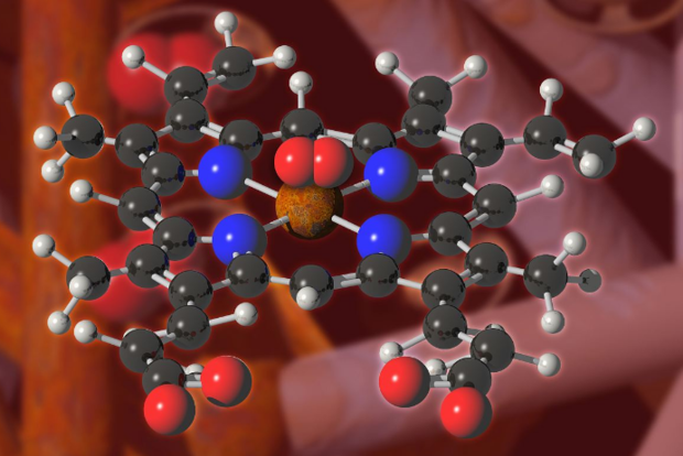 这是血红素分子结构模型,中心橙色的是亚铁离子,边缘红色的为氧分子