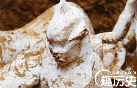 1500184222323150.jpg 1539316440-2.jpg