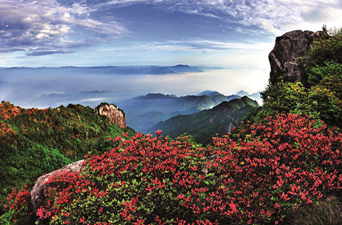 㽭ٺɽɭֹ԰Ƭ㽭ʡҵṩ