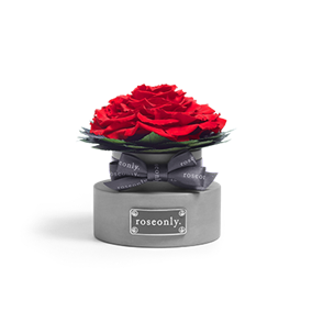 roseonly经典永续 - 花座单朵版嫣红 大型陶瓷 散香 roseonly经典永续 - 花座单朵版嫣红 大型陶瓷 散香