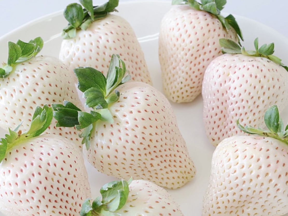 酸奶草莓怎么做_酸奶草莓的做法_豆果美食