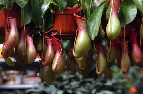 1535526339997390.jpg 1.jpg