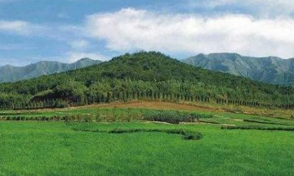 1577948293551171.png image.png