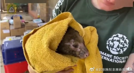 ޸ӱɽͺԮԱ·Ƕġĩա