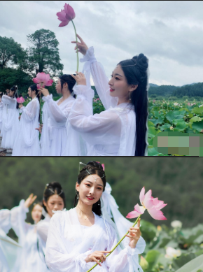世界|广昌行：置身世界最大莲池 “白衣仙女”与莲共舞