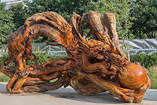 树根怎么保存不开裂