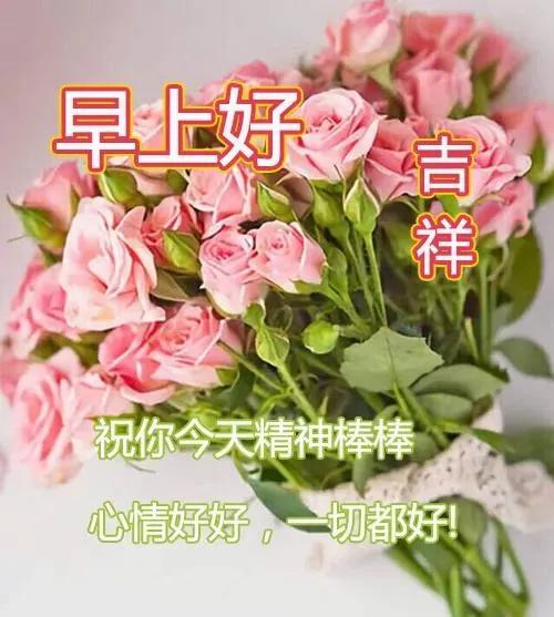 2021年 8张漂亮的早安动态表情鲜花图片 早上好动态祝福走一波