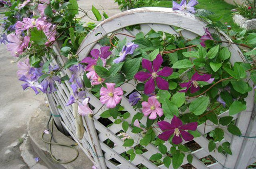 1620896450131879.jpg data-cke-saved-src=http___img.11665.com_img01_p_i1_T1dV69XnlXXXXoxvjb_093702.jpg&refer=http___img.11665_副本.jpg src=http___img.11665.com_img01_p_i1_T1dV69XnlXXXXoxvjb_093702.jpg&refer=http___img.11665_副本.jpg