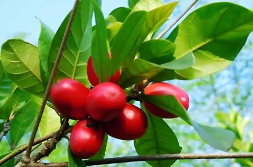 1630330609111065.jpg data-cke-saved-src=http___n.sinaimg.cn_sinakd10100_221_w640h381_20210825_5219-86cf125ed5802df303909fed9569e112.png&refer=http___n.sinaimg src=http___n.sinaimg.cn_sinakd10100_221_w640h381_20210825_5219-86cf125ed5802df303909fed9569e112.png&refer=http___n.sinaimg (1)_副本.jpg