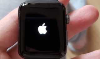 苹果手表忘记锁屏密码 苹果手表忘记密码怎么办