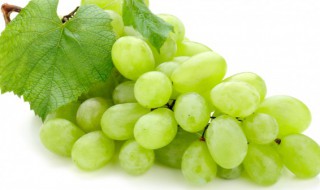 绿色大葡萄是什么品种 绿色很贵的葡萄叫什么名字