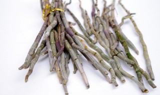 石斛根的功效与作用及食用方法 石斛根怎么吃