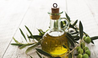 榄橄榄油有什么用 榄橄榄油的作用