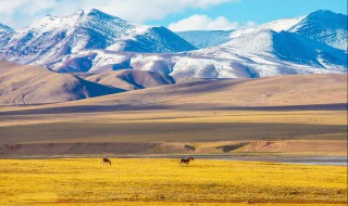 青海高原海拔多少千米 青藏高原海拔 关于青藏高原简介