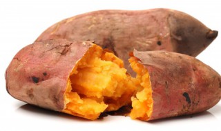 红薯的属性是什么 红薯的属性有哪些