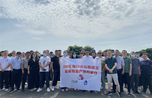 火山“荔枝王”甜蜜出击 2022海口火山荔枝王产销对接会圆满结束!