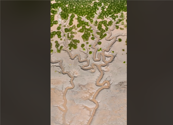 Ǯȥۣ֮֡޴Ȼ񹤡ʫ