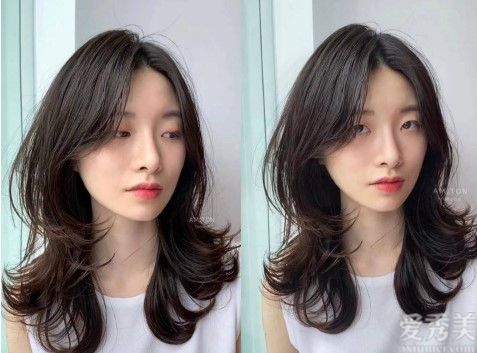 2023Ⱦʲôɫ԰ָߵİɫϵƯɫɫʸк