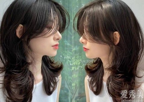 2023Ⱦʲôɫ԰ָߵİɫϵƯɫɫʸк