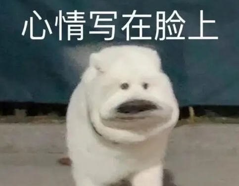 网络用语满减寃种是什么梗