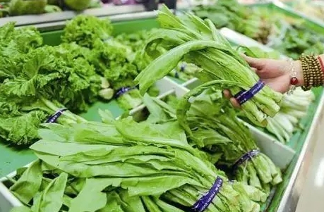 网络用语送菜叶是什么梗