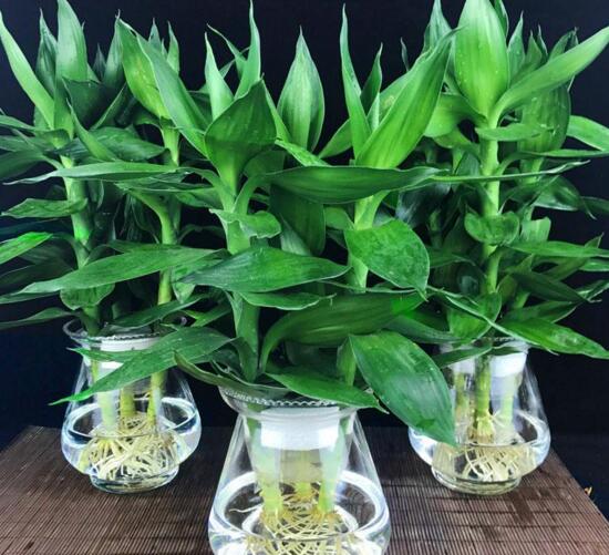 ˮ฻һ46֧Ԣ(˳˳ˮ)