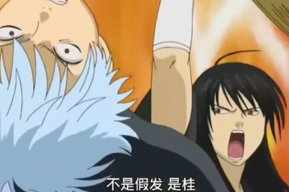 网络用语不是假发,是桂是什么梗