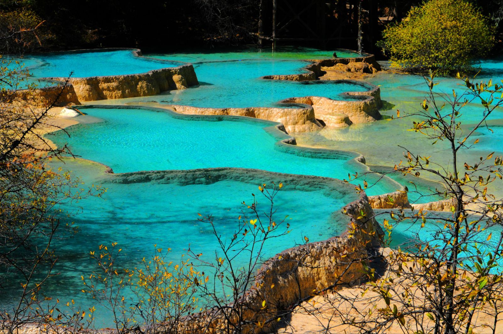 端午怎么玩?成都近郊休闲寻“粽”