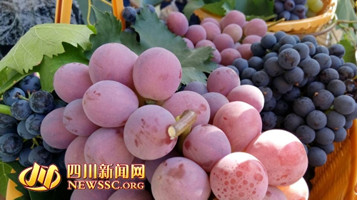 鲜果为媒美食会友 旌阳首届鲜果美食文化季开幕