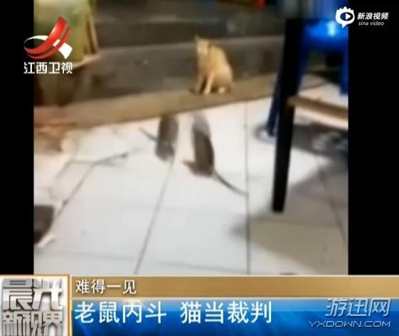 ֻ鲫 èԱ߲֪룬һ±