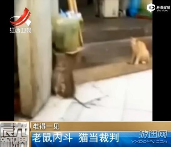 ֻ鲫 èԱ߲֪룬һ±