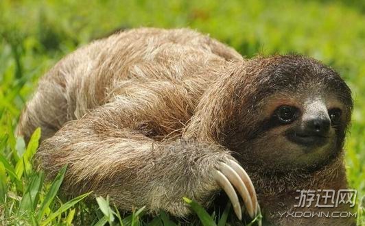 ֪ʶŮϲĵط ʯʨҲֹĸ