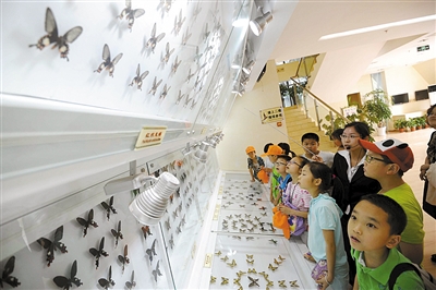 全国民办博物馆齐聚“高层论坛” 点赞成都民办博物馆