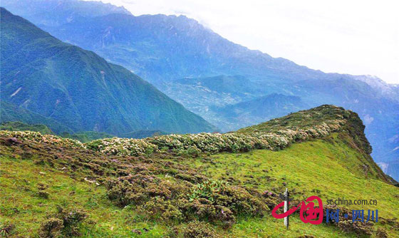 ̽ذ봨ش´壺پͷϪԴ