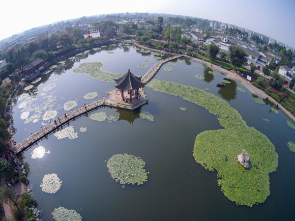 游花海、赏睡莲、品佳宴 什邡邀你游“马祖故里”