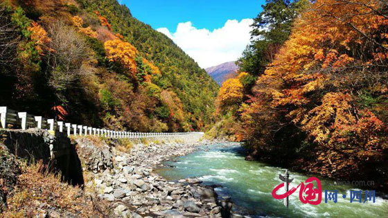 2016ĴҶ̬ν޺ҶȪڽ1021տĻ