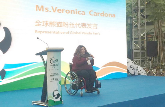 宽窄巷子出发 全球熊猫粉丝启动大熊猫故乡之旅