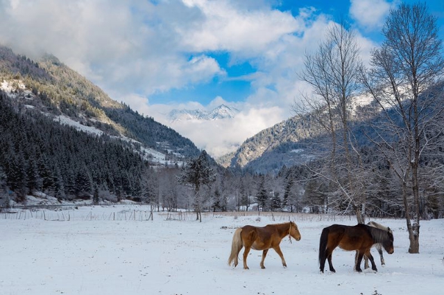 达古冰山被评为“2017年四川最值得期待的旅游目的地”