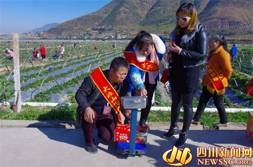 德昌县举办第三届草莓采摘节暨麻栗羊肉美食节