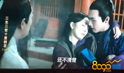 三生三世十里桃花离境