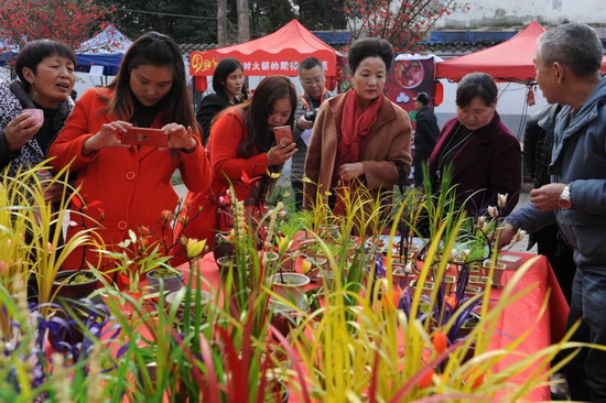 2017四川花卉(果类)生态旅游节都江堰开幕