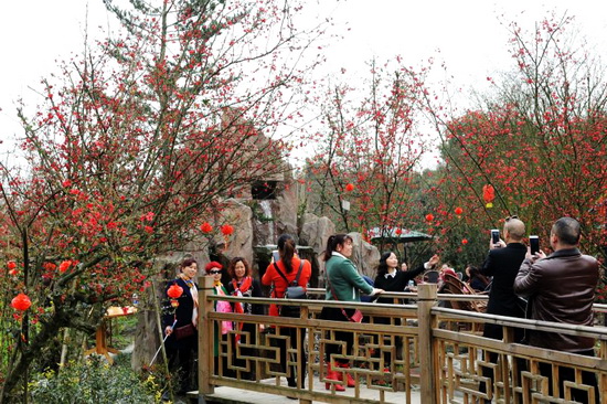 2017四川花卉(果类)生态旅游节都江堰开幕