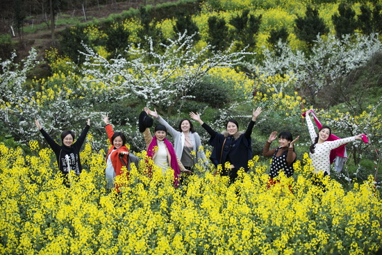 2017四川花卉(果类)生态旅游节落户眉山 最大赏樱胜地缤纷迎客
