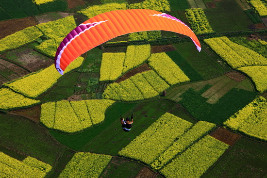 2017四川花卉(果类)生态旅游节落户眉山 最大赏樱胜地缤纷迎客