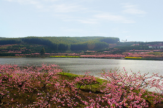 2017Ĵ()̬ν仧üɽ ӣʤͷӭ