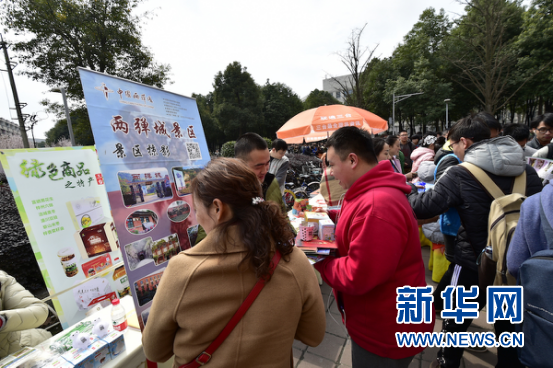 Ρ֡ġί״У ̽Ԫηչģʽ