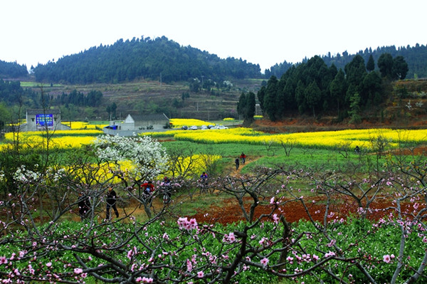 浓浓春色席卷大地 四川百花盛开“织”蜀绣